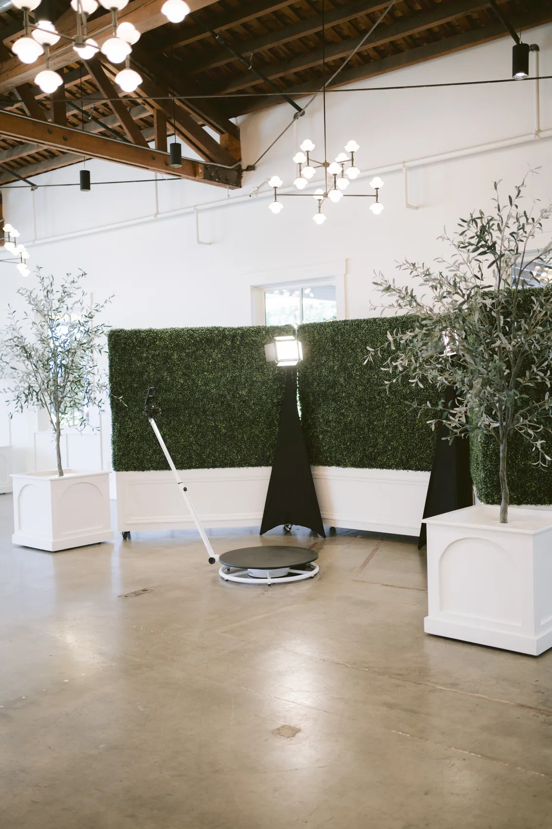 The spinning video platform set up on a polished concrete floor in front of a green hedge wall, framed by olive trees in white planters